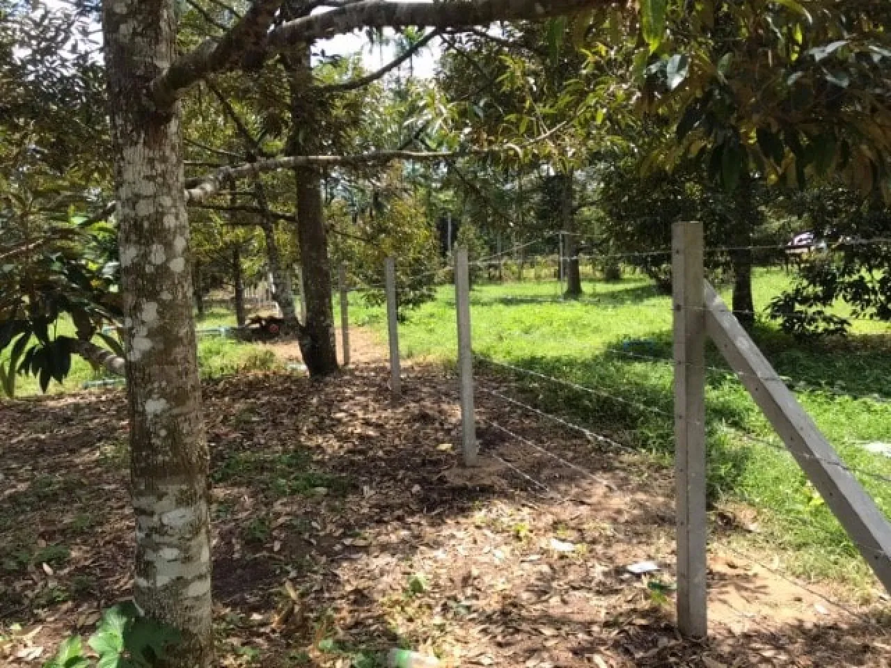 Professional Home Repair Samui | Barb Wire Fencing | CHK Structure