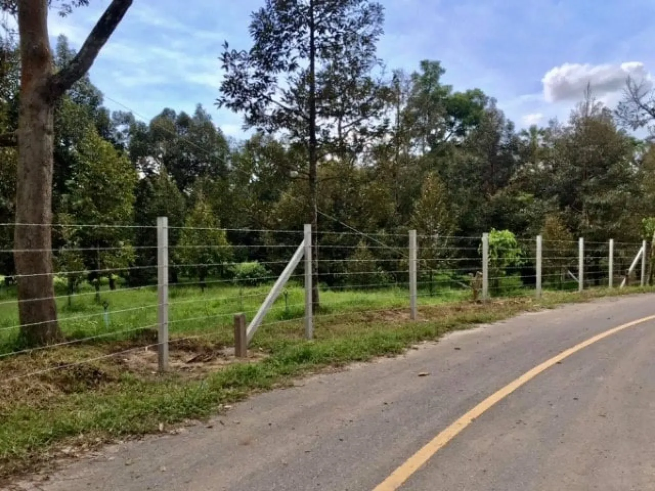 Barbed Wire Fence Installation Koh Samui | Secure Property Services