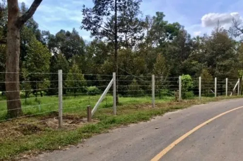 Barbed Wire Fence Installation Koh Samui | Secure Property Services