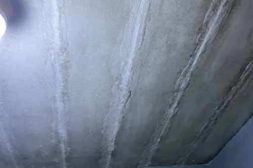 Dealing with Ceiling Mold in Koh Samui: Windows vs. Dehumidifier Solutions